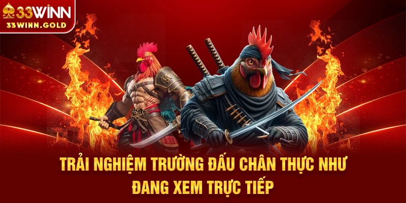 Đá Gà 33Win